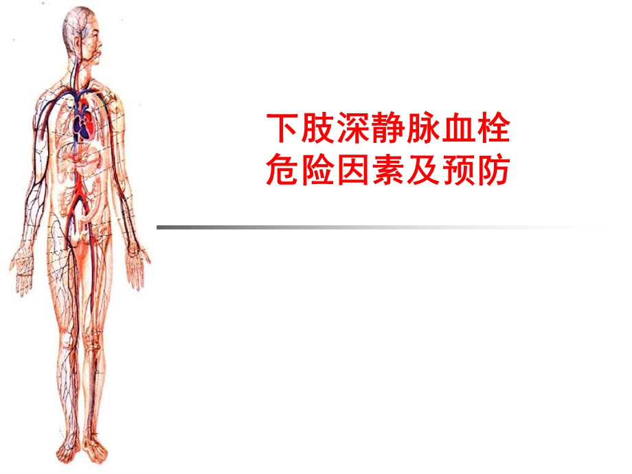 下肢深静脉血栓危险因素及预防ppt课件.ppt_第1页