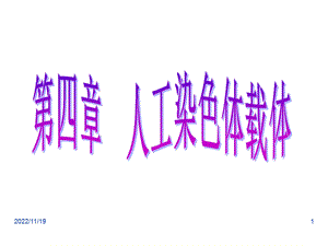 人工染色体载体ppt课件.ppt