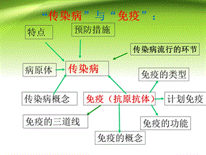 传染病与免疫复习 ppt课件.ppt