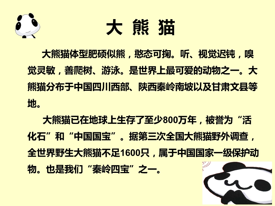 人美版一年级下册美术《22.珍贵的大熊猫(陕西)》ppt课件.ppt_第3页