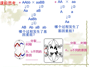 人教版教学PPT课件染色体变异.ppt