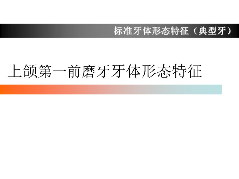 上颌第一前磨牙牙体形态简述ppt课件.ppt_第1页