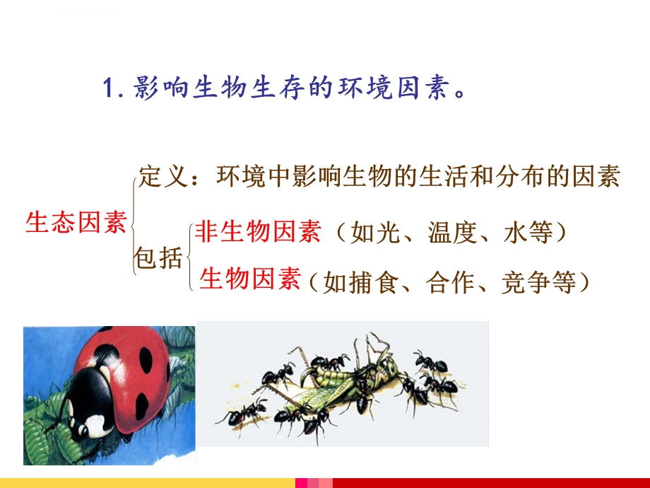 人教版生物中考复习主题三生物与环境ppt课件.ppt_第2页