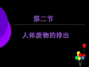 人体内废物的排出 ppt课件.ppt