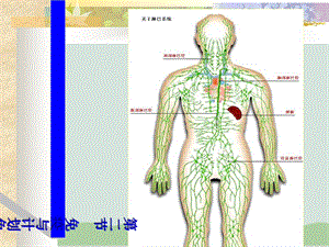 免疫与计划免疫PPT课件人教版.ppt