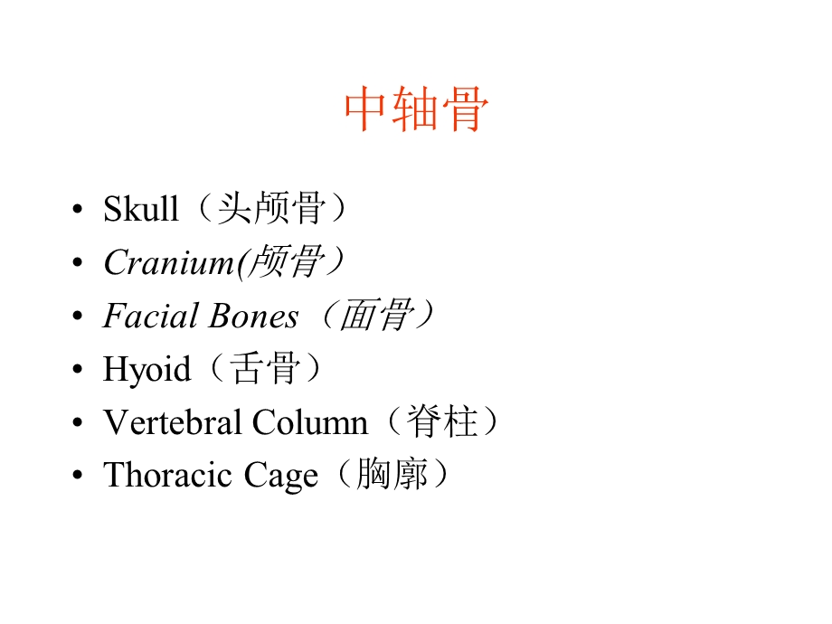 人体骨骼系统ppt课件.ppt_第2页