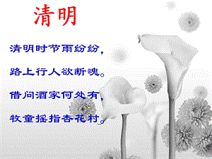 传统节日主题班会ppt课件.ppt