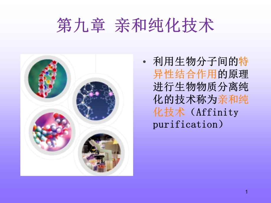 亲和纯化技术ppt课件.ppt_第1页