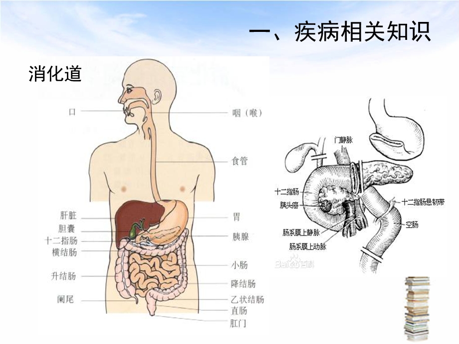 下消化道出血伴失血性休克护理查房ppt课件.ppt_第3页