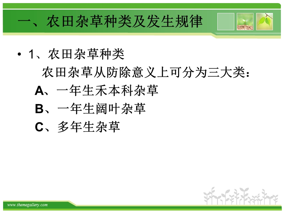 农田杂草防除技术ppt课件.ppt_第2页