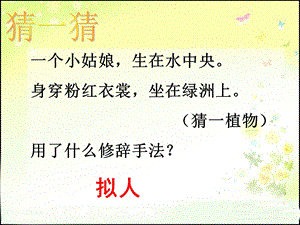 修辞手法复习排比、比喻、拟人四下ppt课件.ppt