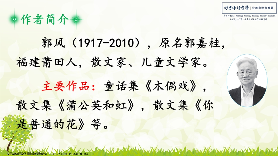 二年级语文下册9 枫树上的喜鹊ppt课件.ppt_第3页