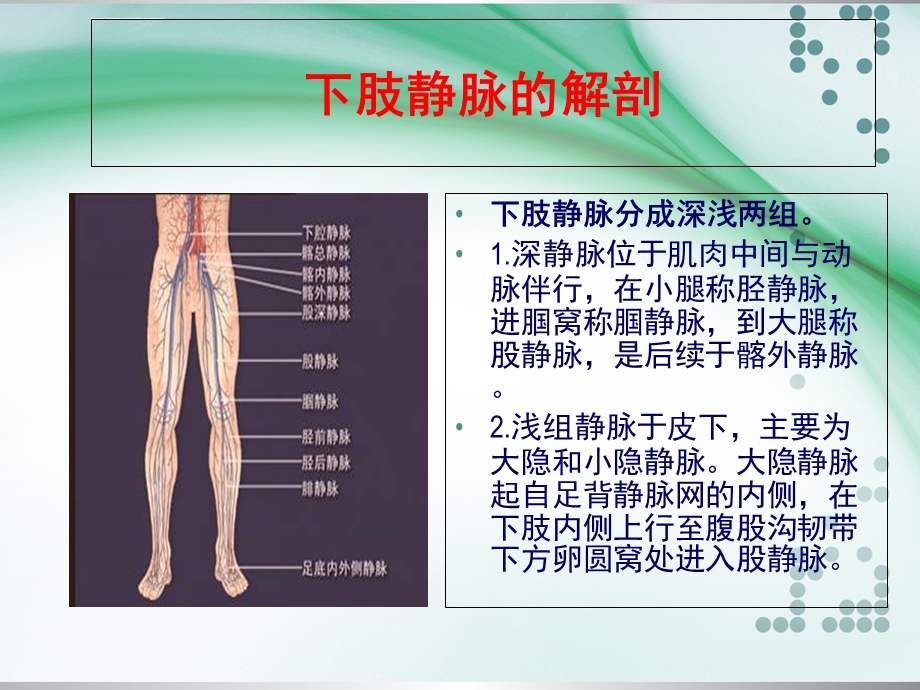 下肢深静脉血栓的护理ppt课件.ppt_第2页