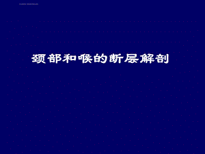 人体断层解剖学 颈部和喉的断层解剖ppt课件.ppt