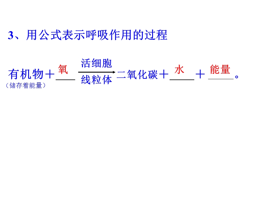 人教版生物学七年级上册填图题解析ppt课件.ppt_第3页