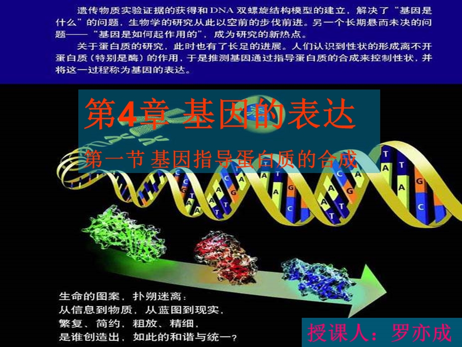 公开课 基因指导蛋白质的合成ppt课件.ppt_第2页