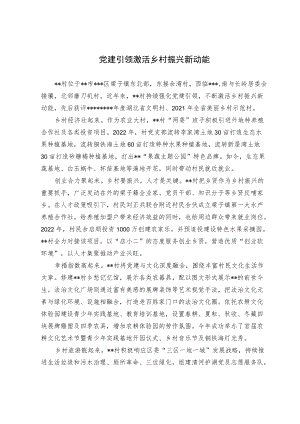 党建引领激活 乡村振兴新动能.docx