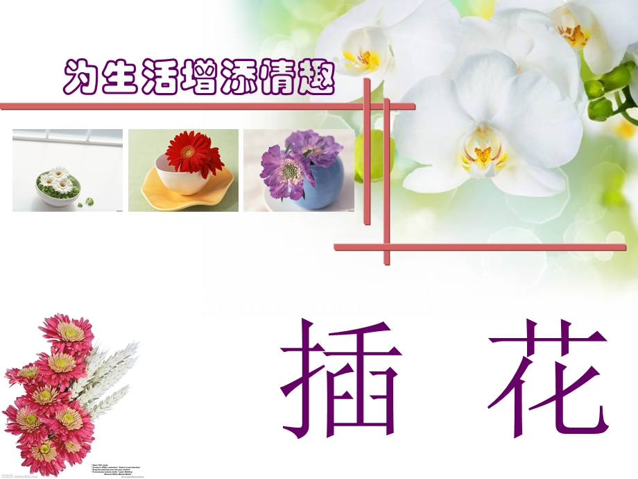 为生活增添情趣之插花ppt课件.ppt_第1页