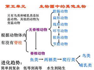 人教版八年级生物上册总复习PPT课件.ppt