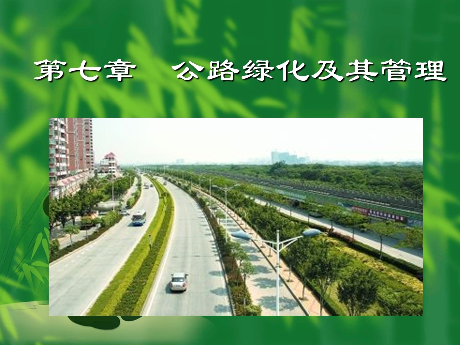 公路养护与管理 第七章 公路绿化及其管护ppt课件.ppt_第1页