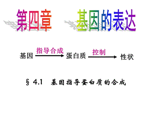 人教高一生物必修二第四章第一节 基因指导蛋白质的合成 ppt课件.ppt