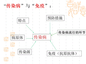 传染病与免疫复习PPT课件.ppt