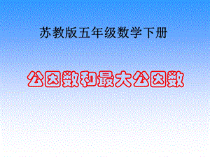 公因数与最大公因数ppt课件苏教版六年级下.ppt