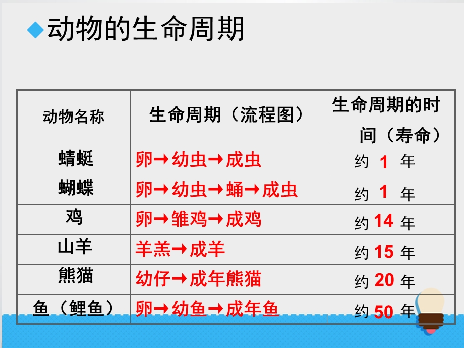 其他动物的生命周期ppt课件.ppt_第3页