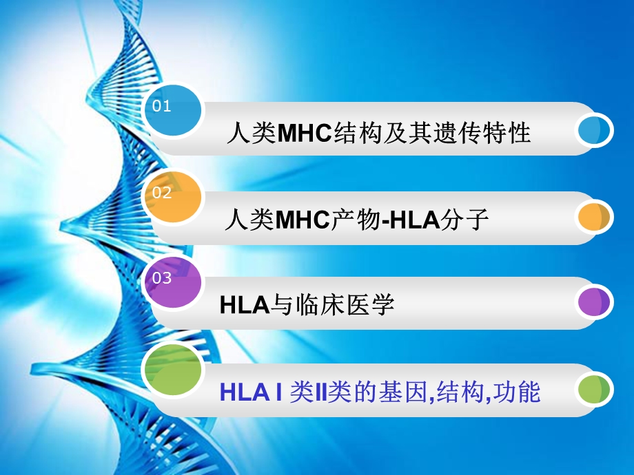 免疫学第八章MHC分子组织相容性基因复合体全解ppt课件.ppt_第2页