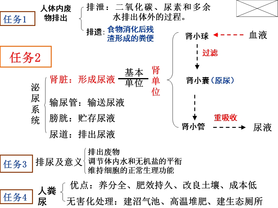 人教版第四单元第五章《人体内废物的排出》复习ppt课件分解.ppt_第2页