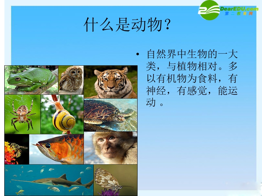 八年级生物千姿百态的动物世界(一)ppt课件苏教版.ppt_第3页