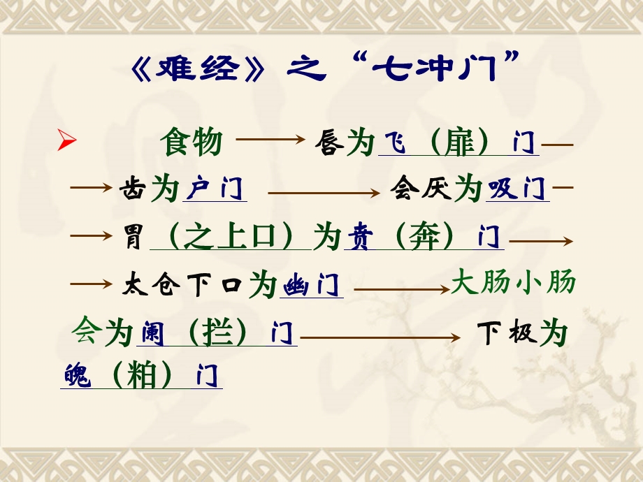 中医基础理论 6 藏象 六腑ppt课件.ppt_第2页