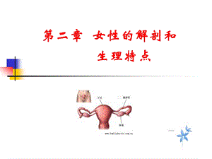 中医妇科学总论ppt课件.ppt