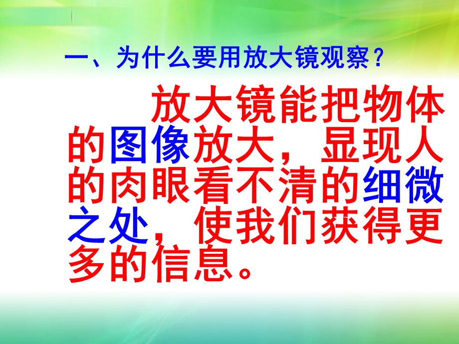 六年级科学《放大镜》ppt课件.ppt_第2页