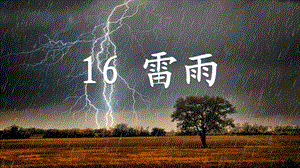 人教部编版二年级语文下册16 雷雨ppt课件.ppt