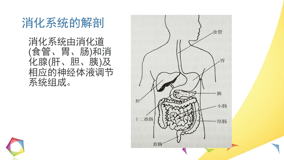 上消化道出血小讲课ppt课件.pptx_第3页