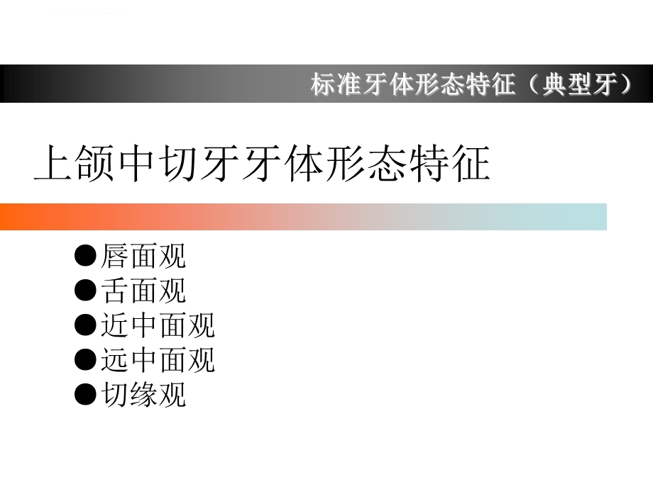 上颌中切牙形态特征简述ppt课件.ppt_第2页