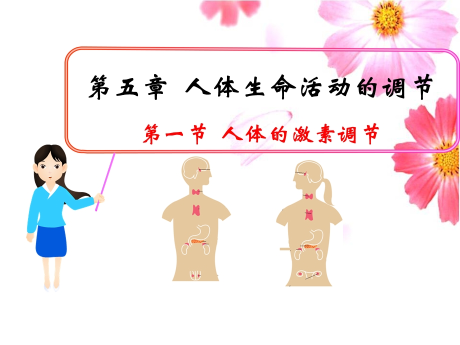 人体的激素调节ppt课件(优质课).ppt_第2页