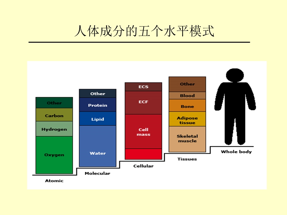 人体成分分析的临床应用ppt课件.ppt_第2页