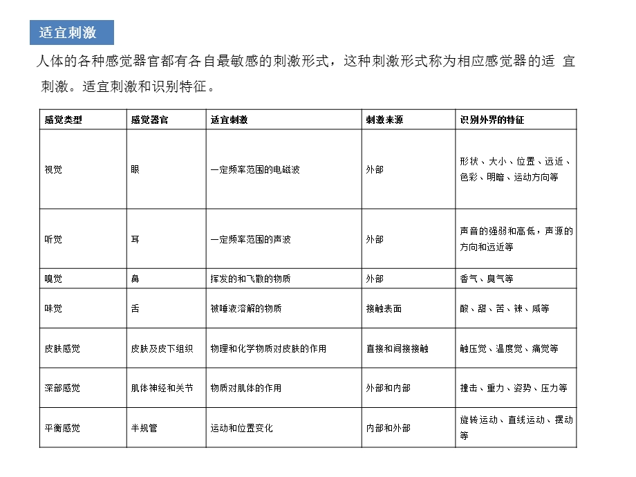 人机工程学第三 章ppt课件.pptx_第3页