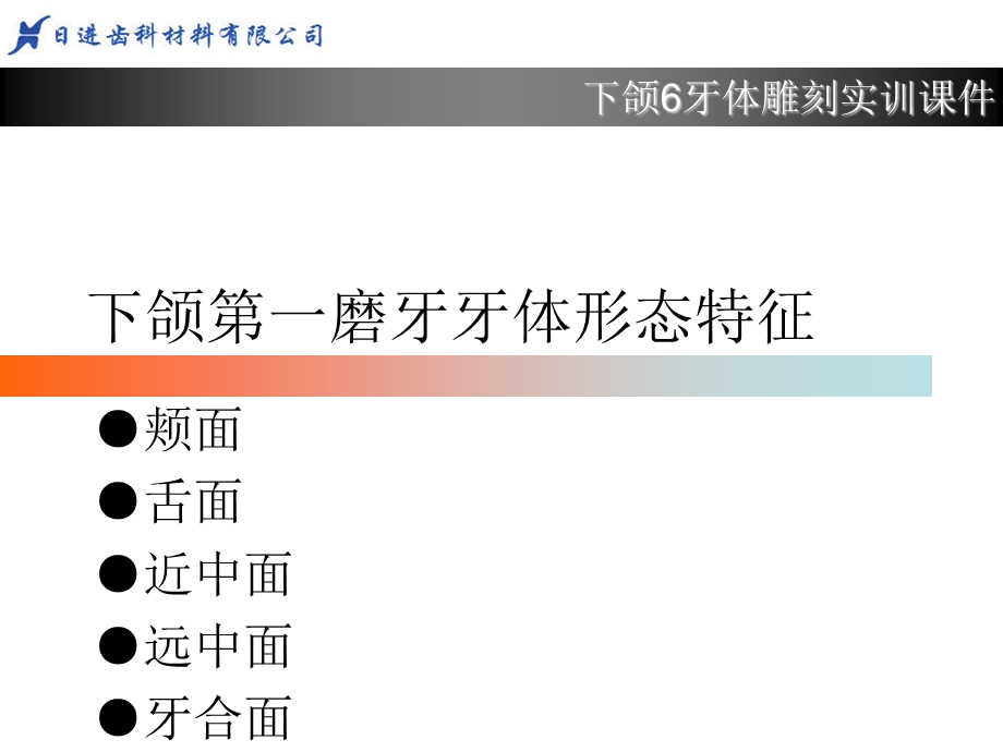 下6.牙体形态简述ppt课件.ppt_第1页