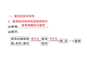 植物组织培养的原理和程序课件.ppt