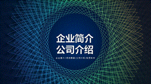 科技风企业简介公司介绍演示策划经典高端创意模板课件.pptx