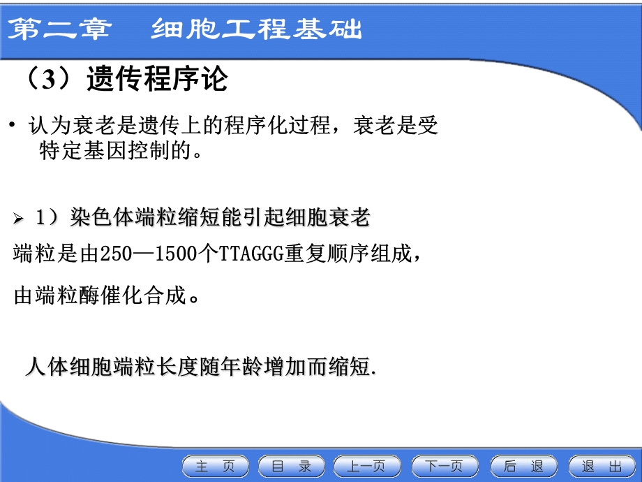 细胞工程第二章细胞工程基础下课件.ppt_第1页