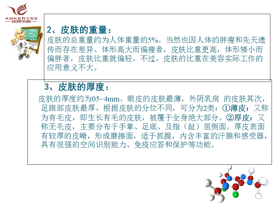 皮肤基本结构与生理功能课件.ppt_第2页