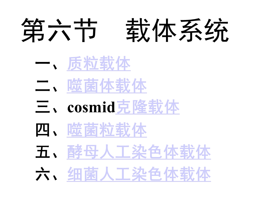 第六节载体系统课件.ppt_第1页