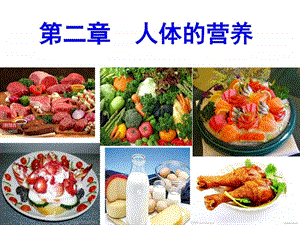 第二章第一节食物中的营养物质(共34张)46课件.ppt