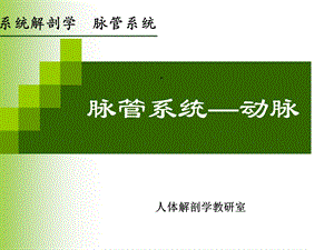 系统解剖学脉管系统课件.ppt