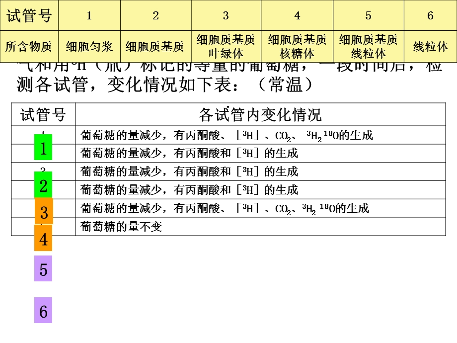 细胞呼吸过程原理及应用课件.ppt_第2页