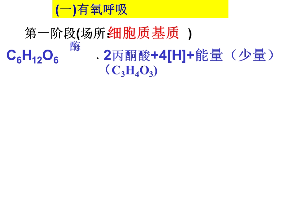 细胞呼吸过程原理及应用课件.ppt_第3页